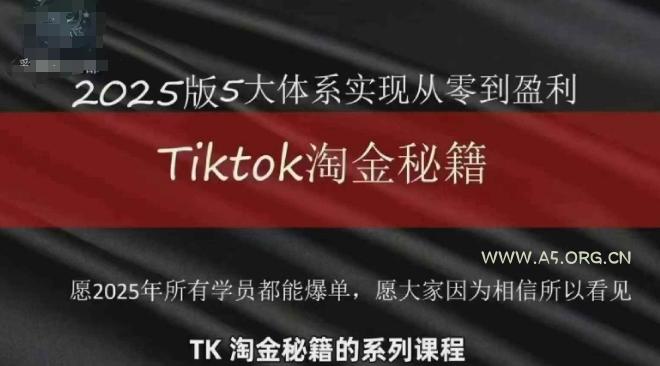 TikTok跨境2025淘金秘籍，​2025TikTok从0到盈利变现-A5资源网