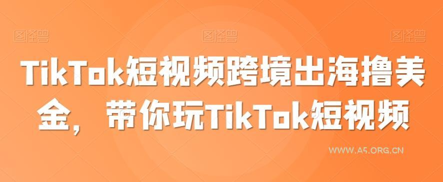 TikTok短视频跨境出海撸美金，带你玩TikTok短视频-A5资源网