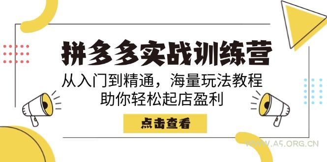 拼多多实战训练营，从入门到精通，海量玩法教程，助你轻松起店盈利-A5资源网