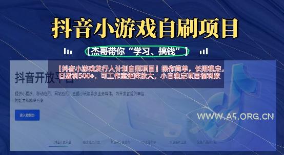 抖音小游戏发行人计划自刷项目，操作简单，长期稳定，日盈利5张，可工作室矩阵放大-A5资源网