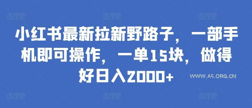 小红书最新拉新野路子，一部手机即可操作，一单15块，做得好日入2000+【揭秘】-A5资源网