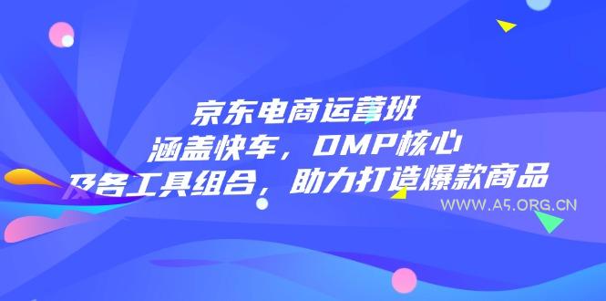京东电商运营班：涵盖快车，DMP核心及各工具组合，助力打造爆款商品-A5资源网