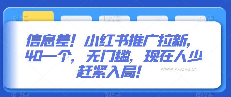 信息差！小红书推广拉新，40一个，无门槛，现在人少赶紧入局！-A5资源网