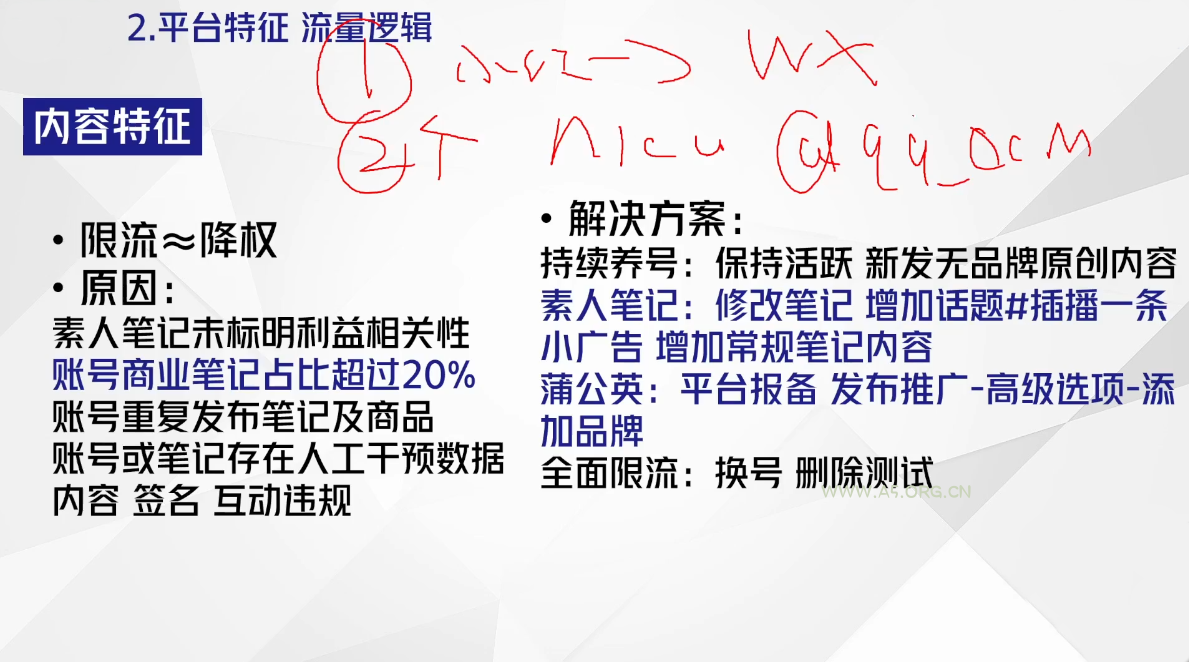尼采老师·小红书爆单系列课 - A5资源网