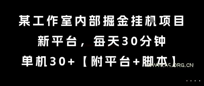 某工作室内部掘金挂G项目，新平台，每天30分钟，单机30+【揭秘】-A5资源网