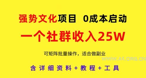 强势文化项目，一个社群收入25个W，0成本启动，可矩阵批量操作，原创详细实操教程-A5资源网