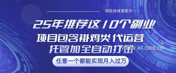 25年推荐这10个副业项目包含褂鸡类、代运营托管类、全自动打金类【揭秘】-A5资源网