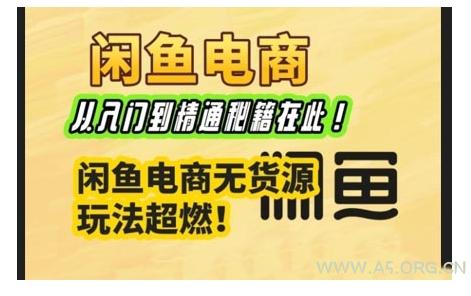 闲鱼电商实战课，从入门到精通秘籍在此，闲鱼电商无货源玩法超燃!-A5资源网