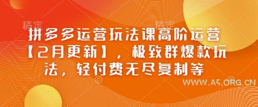 拼多多运营玩法课高阶运营【2月更新】，极致群爆款玩法，轻付费无尽复制等-A5资源网