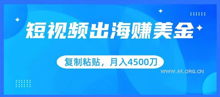 短视频出海赚美金，复制粘贴批量操作，小白轻松掌握，月入4500美刀【揭秘】-A5资源网
