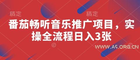 番茄畅听音乐推广项目，实操全流程日入3张-A5资源网