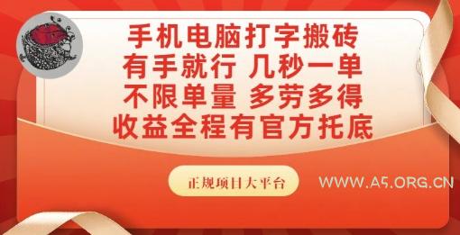 手机电脑打字搬砖，副业可发展主业来做蓝海项目，有手就行，几秒一单，不限单量，多劳多得【揭秘】-A5资源网
