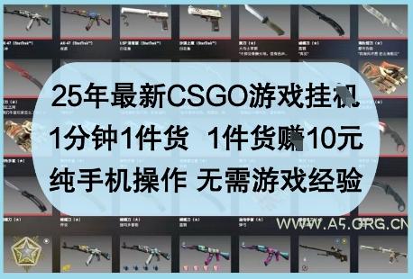 25年最新CSGO游戏挂G，1分钟1件货，1件货挣10元，纯手机操作，无需游戏经验【揭秘】-A5资源网