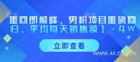 重回即颠峰，男粉项目重磅回归，平均每天销售额1-4W-A5资源网