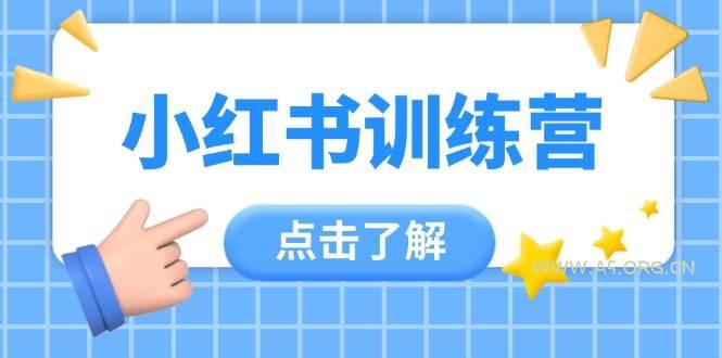 小红书训练营，助小白入门，掌握技巧变达人，课程实操又全面(12节课)-A5资源网
