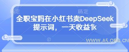 全职宝妈在小红书卖DeepSeek提示词，一天收益1k-A5资源网