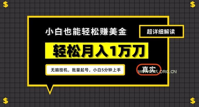 谷歌看广告撸美金2.0，无脑挂机，多号操作，月入1万刀【揭秘】-A5资源网