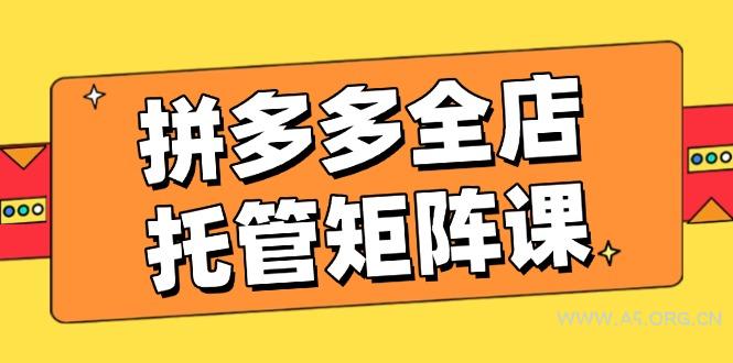 拼多多全店托管矩阵课，盈利动销玩法，高效计划设置，提升店铺效益-A5资源网