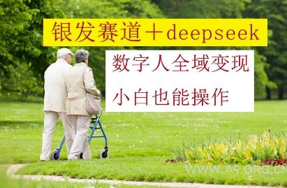 银发赛道+deepseek数字人全域变现，小白也能操作-A5资源网