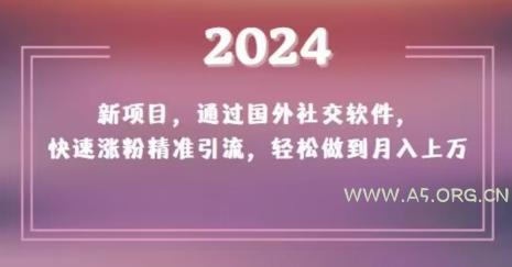 2024新项目，通过国外社交软件，快速涨粉精准引流，轻松做到月入上万【揭秘】-A5资源网