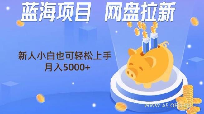 蓝海项目网盘拉新，新人小白也可操作，每月收入5000+-A5资源网
