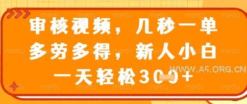 视频审核员，几秒一单，不限时间，不限地点，多做多得，新人小白一天轻松几张+【揭秘】-A5资源网