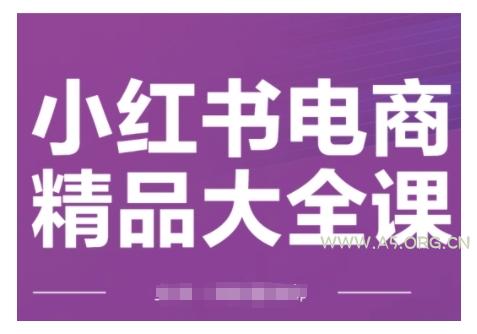 小红书电商精品大全课，快速掌握小红书运营技巧，实现精准引流与爆单目标，轻松玩转小红书电商(更新2月)-A5资源网