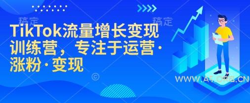 TikTok流量增长变现训练营，专注于运营·涨粉·变现-A5资源网