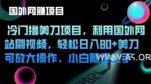 冷门撸美刀项目，利用国外网站刷视频，轻松日入80+美刀，可放大操作，小白随便上手-A5资源网