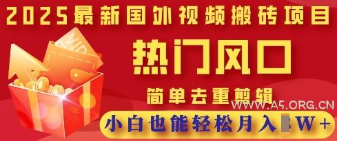2025最新视频搬砖项目，热门风口，简单去重剪辑，小白也能轻松月入过W-A5资源网