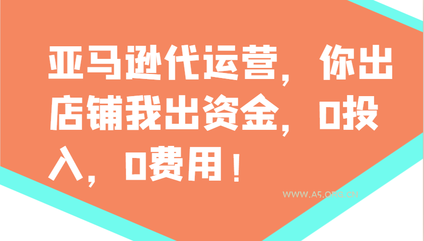 亚马逊代运营，你出店铺我出资金，0投入，0费用，无责任每天300分红，赢亏我承担-A5资源网