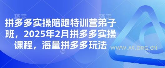 拼多多实操陪跑特训营弟子班，2025年2月拼多多实操课程，海量拼多多玩法-A5资源网