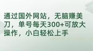 通过国外网站，无脑赚美刀，单号每天300+可放大操作，小白轻松上手【揭秘】-A5资源网