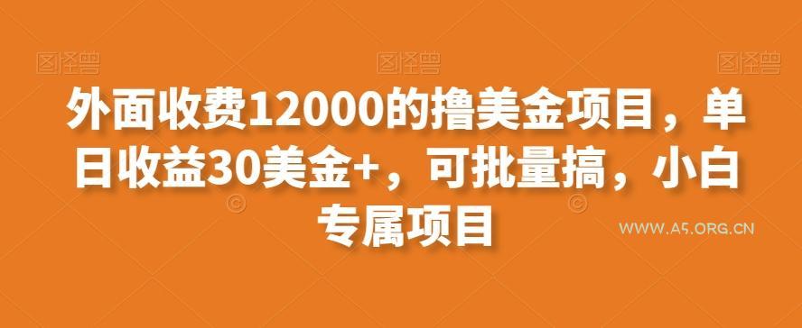 外面收费12000的撸美金项目，单日收益30美金+，可批量搞，小白专属项目-A5资源网