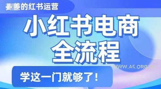 小红书电商全流程，精简易懂，从入门到精通，学这一门就够了-A5资源网