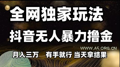 全网独家玩法抖音无人暴力撸金，月入3W，有手就行，当天拿结果【揭秘】-A5资源网