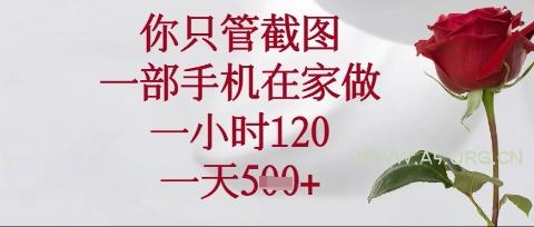 你只管截图，一部手机在家操作，一小时120.一天5张【揭秘】-A5资源网