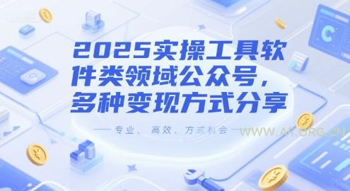 2025实操工具软件类领域公众号，多种变现方式分享-A5资源网