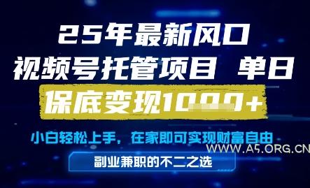 25年最新风口，视频号托管项目，单日保底变现1k+，手把手教学【揭秘】-A5资源网