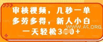审核视频，几秒一单，多劳多得，新人小白一天轻松3张【揭秘】-A5资源网