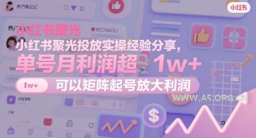 小红书聚光投放实操经验分享，单号月利润超1w+，可以矩阵起号放大利润-A5资源网