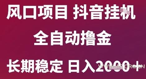 风口项目，六月最新玩法抖音无人挂G，全自动撸金，长期稳定 日入2k+【揭秘】-A5资源网