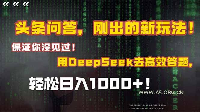 头条问答，刚出的新玩法！保证你没见过！结合Deepseek高效答题，日入1000+-A5资源网