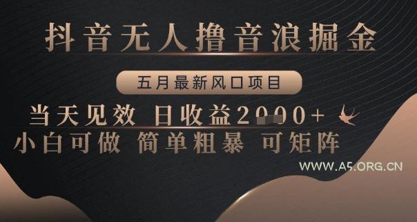 抖音无人撸音浪掘金，五月最新风口项目，当天见效，日收益多张，小白可做简单粗暴可矩阵【揭秘】-A5资源网