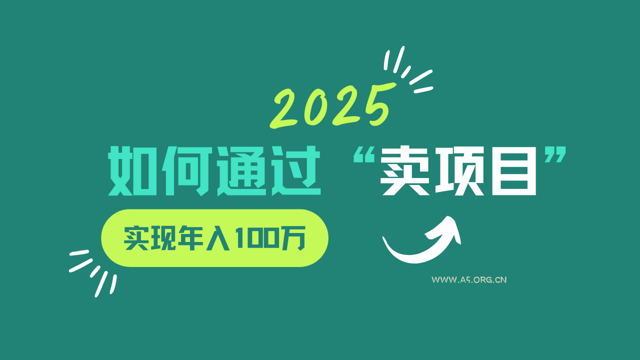 2025年如何通过“卖项目”实现年入100w-A5资源网