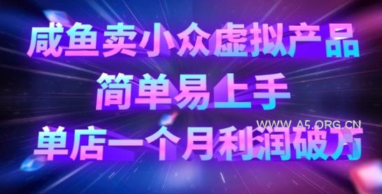 咸鱼卖小众虚拟产品，简单易上手，单店一个月利润破W-A5资源网