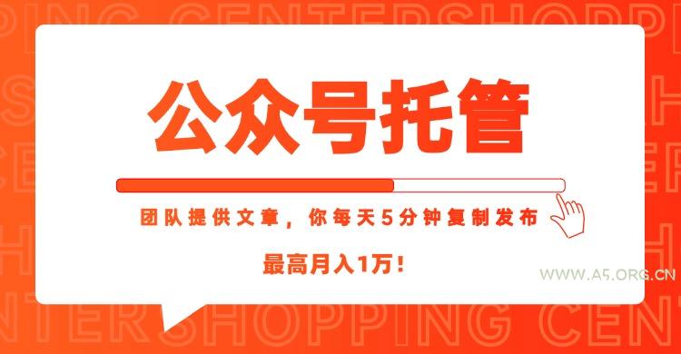 【公众号托管 】我提供文章，你每天５分钟复制发布，最高月入1W-A5资源网