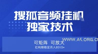 【搜狐音频挂G】独家技术，可矩阵可放大，红利期稳定月入8k【揭秘】-A5资源网