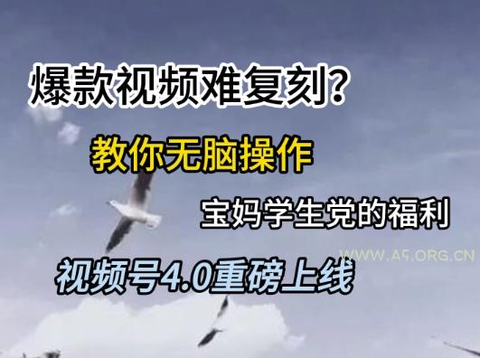 视频号4.0重磅上线，爆款视频难复刻？教你无脑操作宝妈学生党的福利【揭秘】-A5资源网