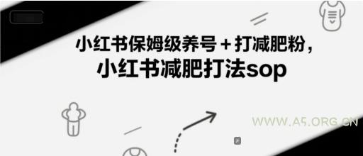小红书保姆级养号+打减肥粉，小红书减肥打法sop-A5资源网